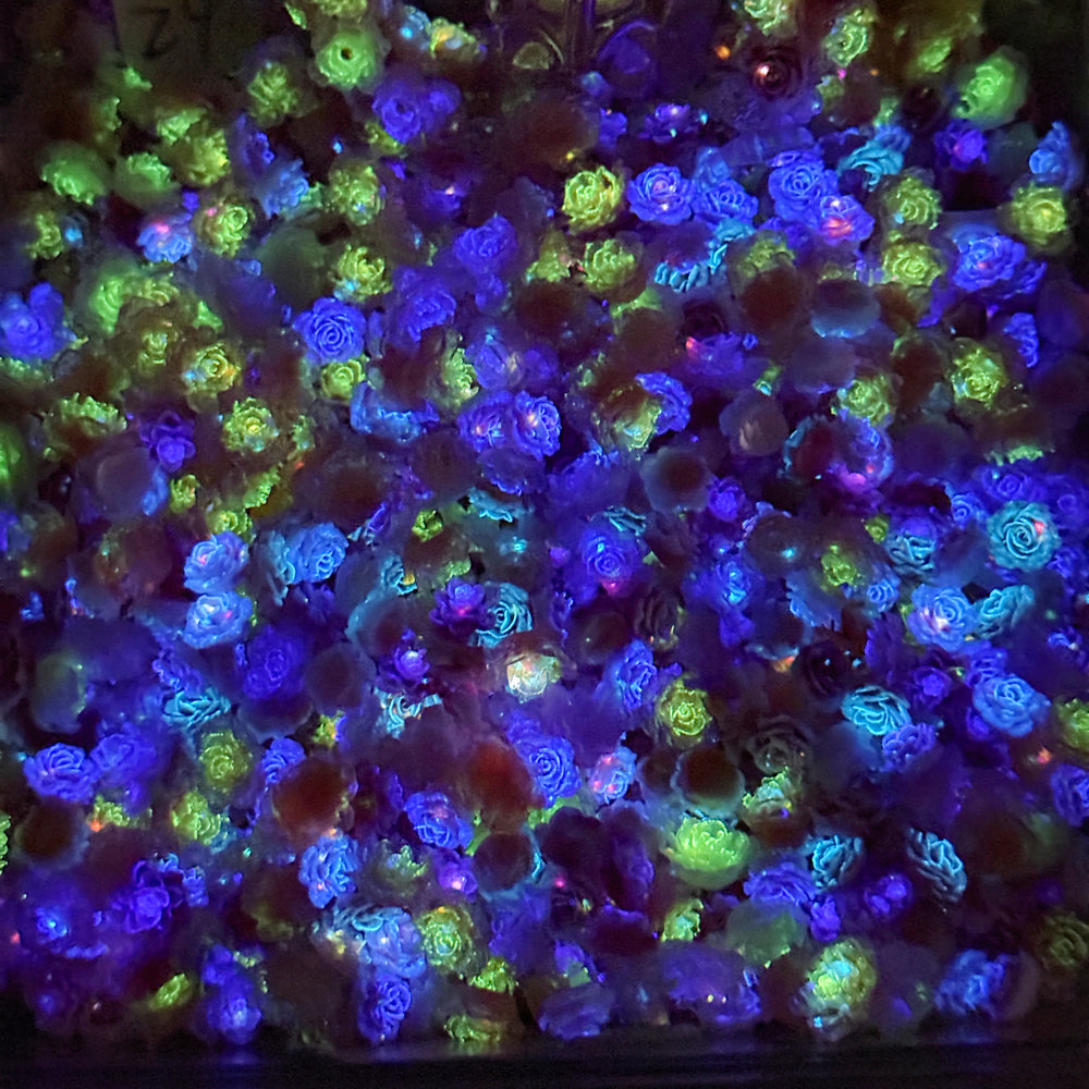(New) Pink Rose Garden  (Color Changing & Glow in Dark)